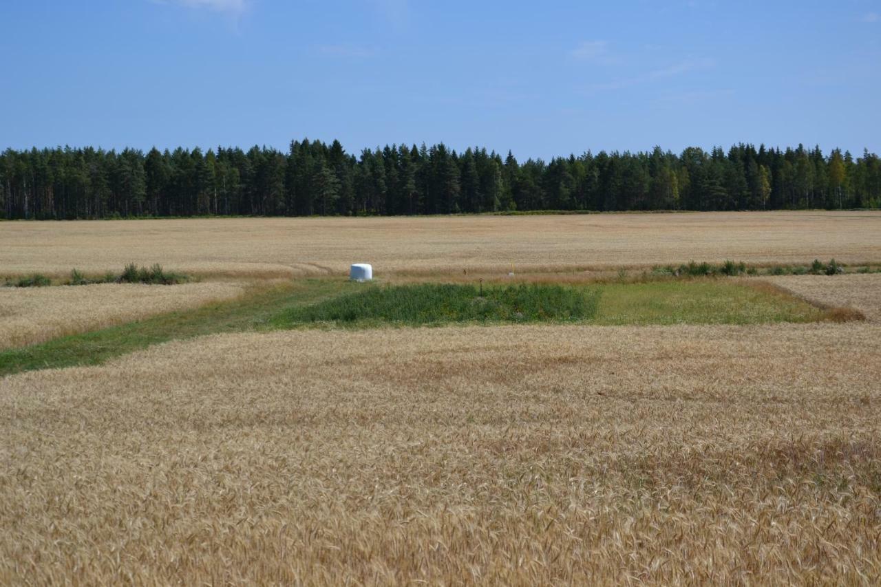 Vaermlandsnaes Valdersrud Stenroese Saffle Bagian luar foto